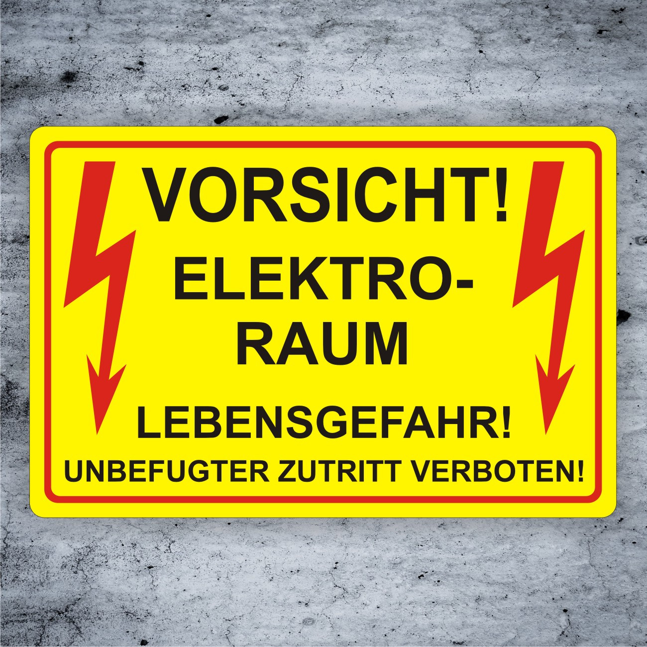 Hinwesschild Elektroraum Lebensgefahr