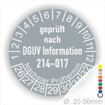 Prüfplakette, Warungsetikett DGUV Information 214-017 Prüfung für Sicherer Einsatz von Abroll- und Abgleitkippern Starjahr- 26, Farbe- Grau